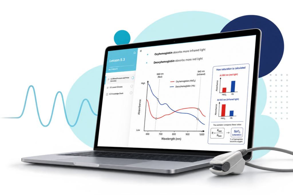 Veterinary anesthesia education displayed on a laptop, illustrating pulse oximetry principles.